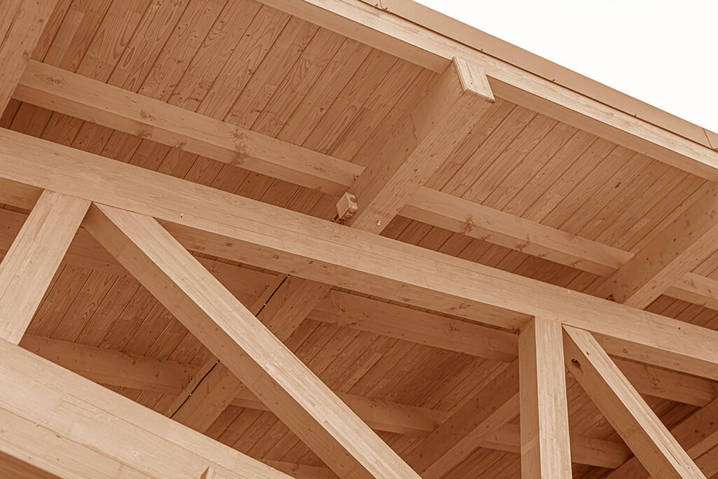Carport Bausatz